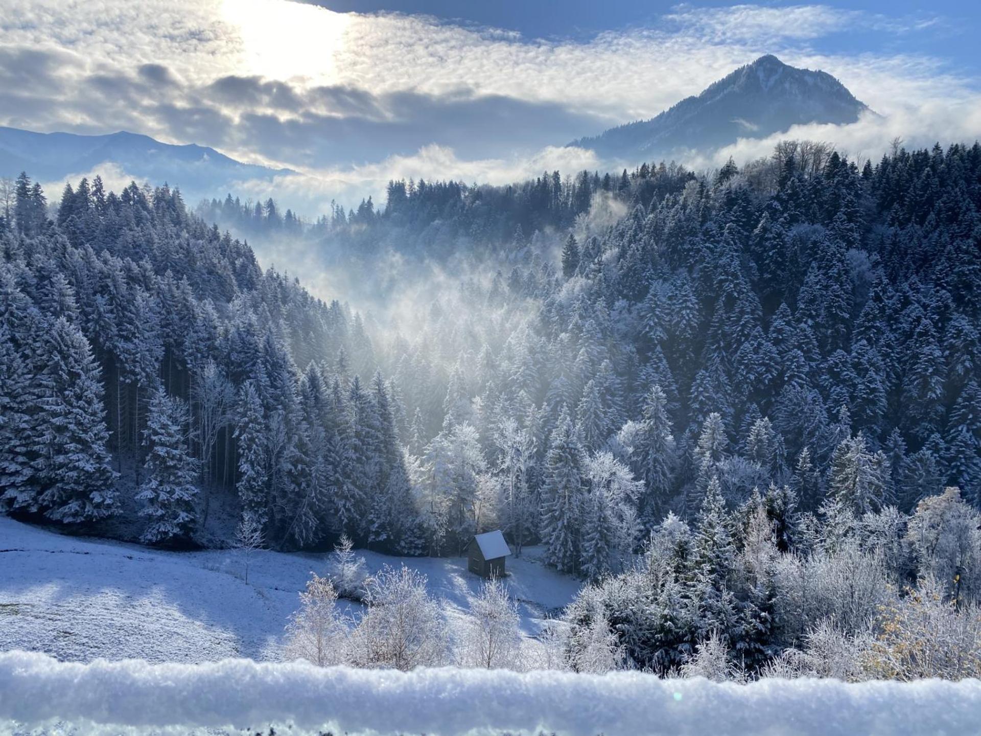 Wohnung Staufenblick Und Wohnung Firstblick Dornbirn Bagian luar foto